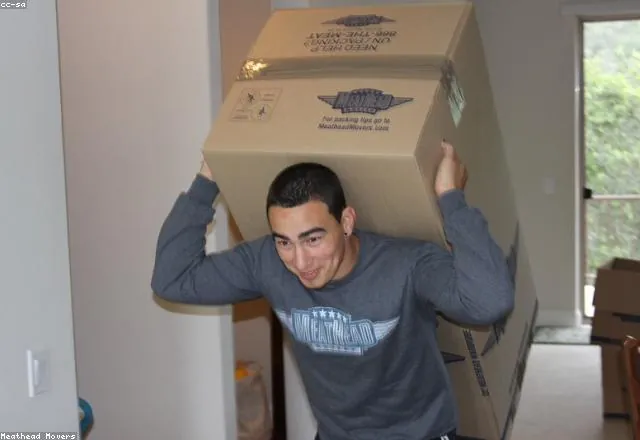 A mover carrying a box on moving day